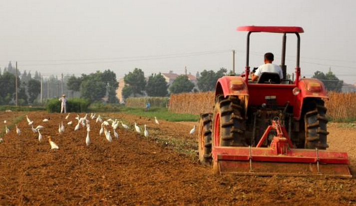 新三农问题之变：农民在分裂，农业资本化在威胁中国